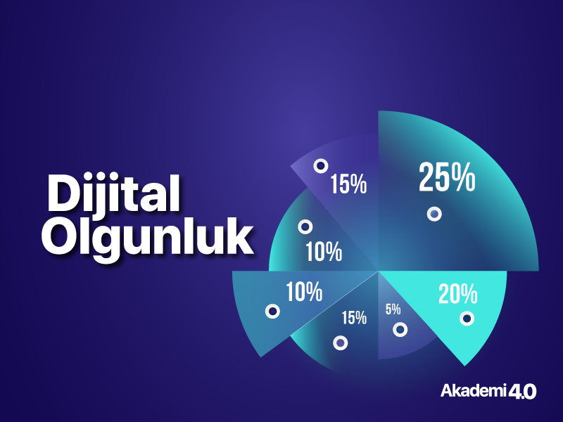 Dijital Olgunluk Modeli Nedir?